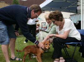 Friends of Shannon Court Gallery pic 32